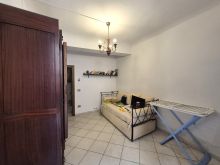 camerina2 2