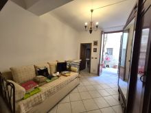 camerina2