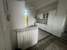 IMG-20250513-WA0008
