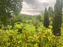 IMG-20250513-WA0025