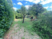 IMG-20250712-WA0037
