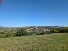 PXL_20250727_070425313 MP