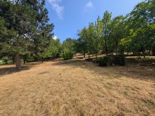 PXL_20250726_084224025
