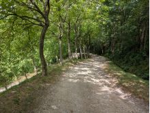 PXL_20250726_093524952