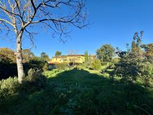 IMG-20251017-WA0027
