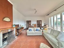 WhatsApp Image 2026-02-09 at 13 50 23 (1)