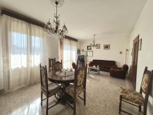 WhatsApp Image 2026-02-13 at 15 27 54 (4)