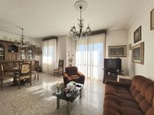 WhatsApp Image 2026-02-13 at 15 27 54 (8)