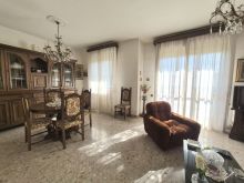 WhatsApp Image 2026-02-13 at 15 27 54 (9)