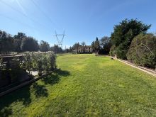 WhatsApp Image 2026-03-16 at 16 23 31 (1)