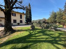 WhatsApp Image 2026-03-16 at 16 23 47