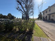 WhatsApp Image 2026-03-16 at 16 23 48 (1)